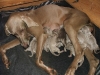 DSCF3130_800